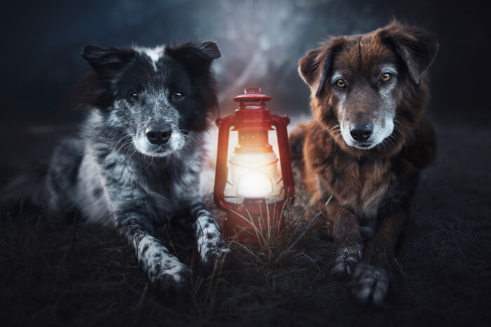 One Way Ticket To Paradise - I Will Take You On A Little Journey