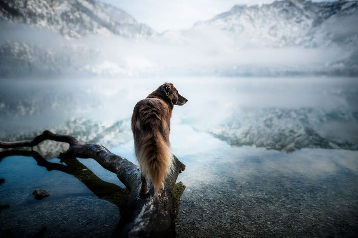 One Way Ticket To Paradise - I Will Take You On A Little Journey