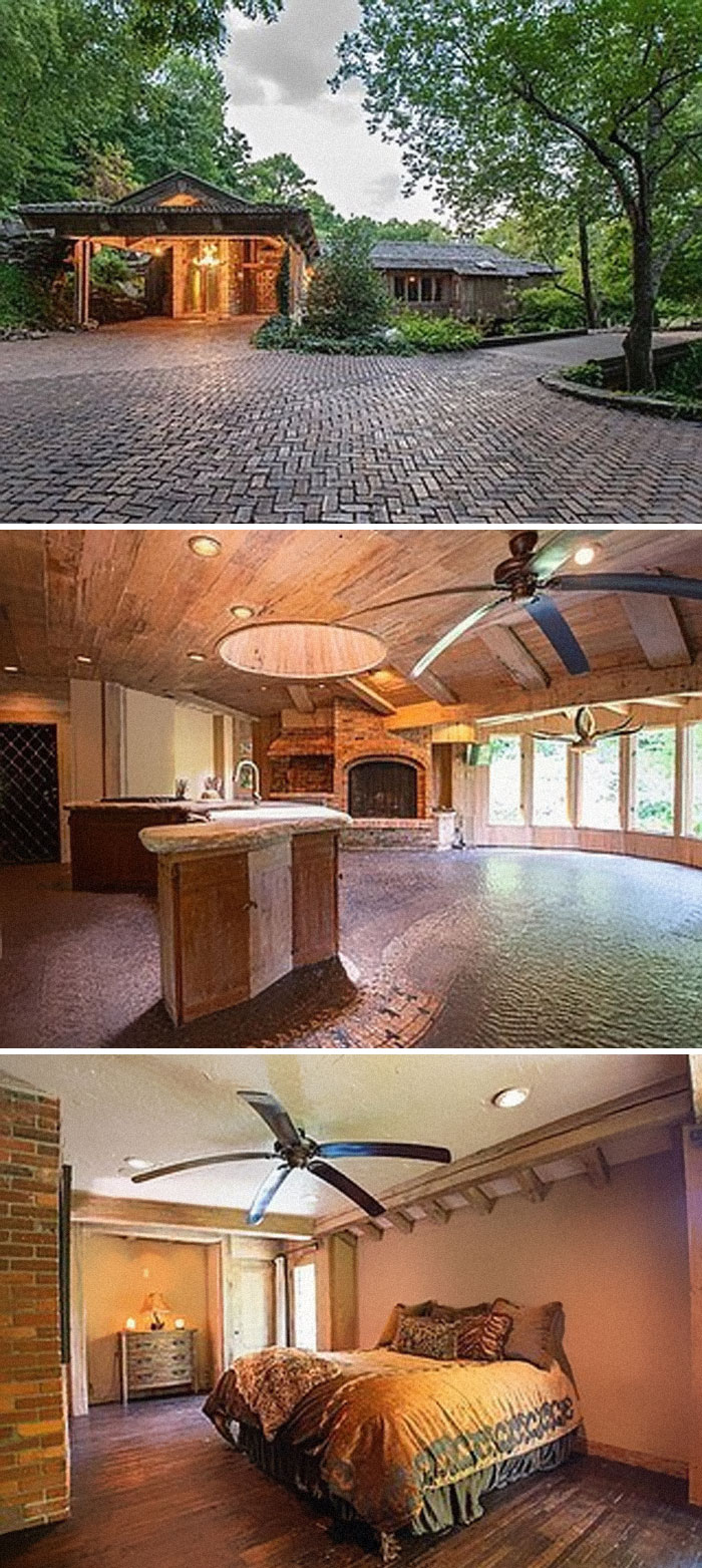 When Gators Are Life