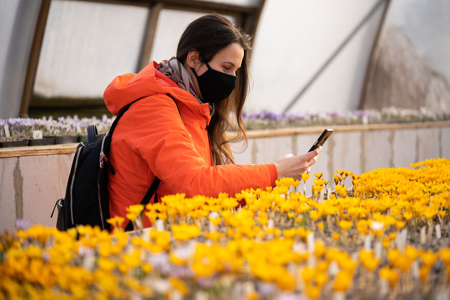 Visitors Must Wear A Mask, Only Same Household Members Can Come Together, And Maximum Of 15 People Per Greenhouse