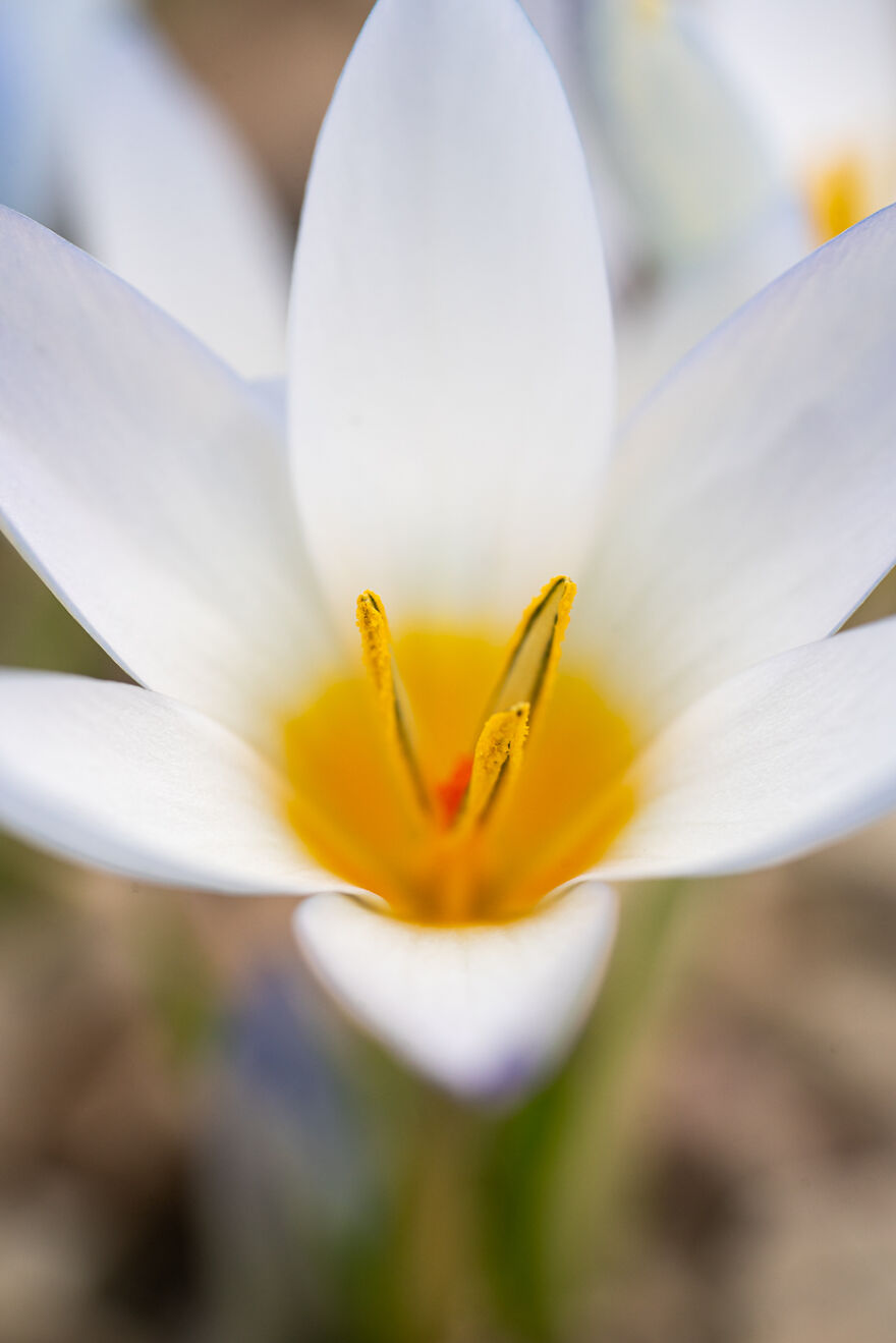 Close UPS May Reveal Details You Won't Even Notice With Eyes