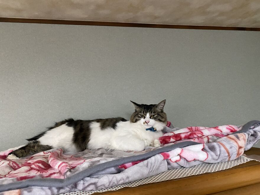 Myu In Her Favorite Place To Chill