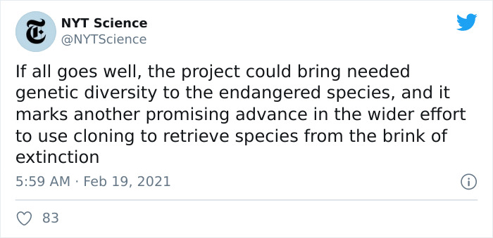 Scientists Successfully Clone A Ferret That Died In 1988, And This Might Be A Way Of Protecting Endangered Species Scientists Successfully Clone A Ferret That Died In 1988, And This Might Be A Way Of Protecting Endangered Species