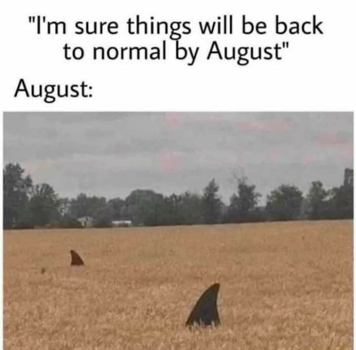 In Other News, The Beaches Are Open