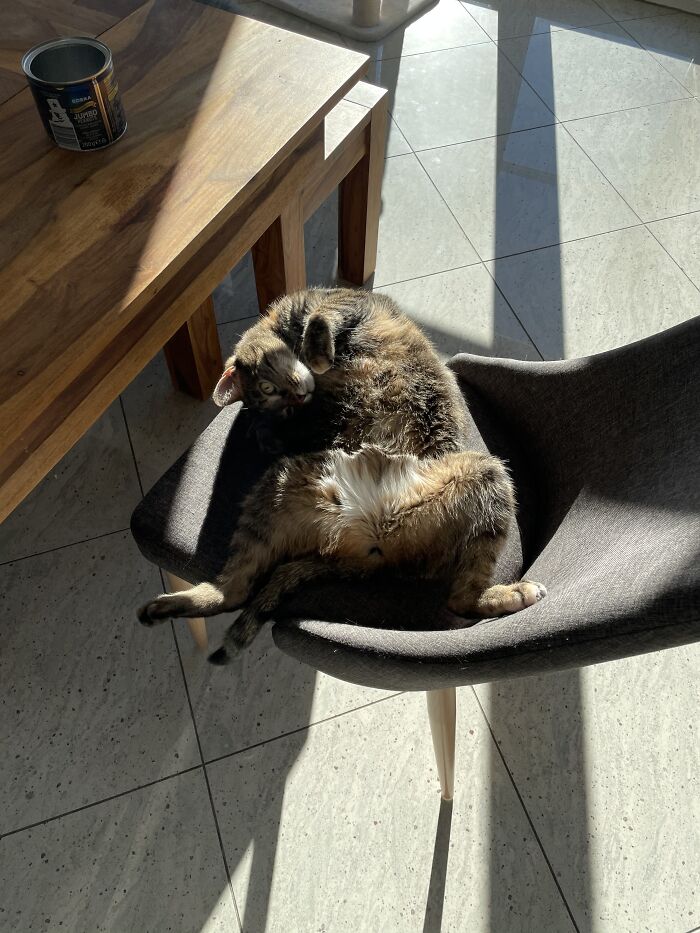 Freya Enjoying Some Sun In Her Belly