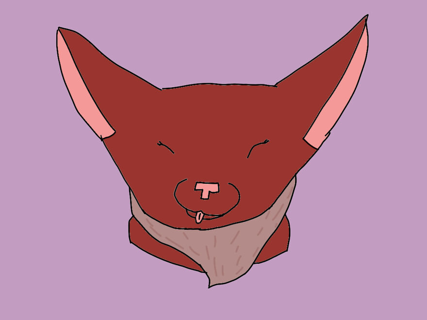 My Oc Kitkat, Or, Warrior Cat Name, Pinepaw ( Still Apprentice)