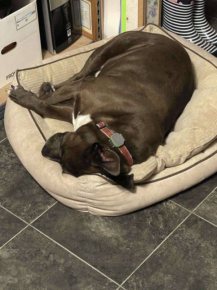 Max's Favorite Spot.