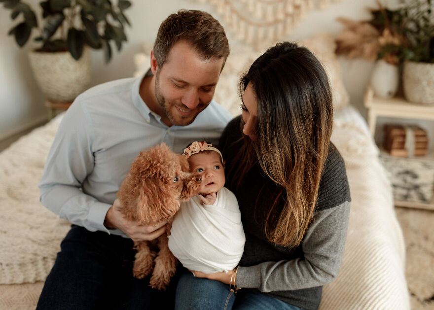 I Took Pictures Of A Family With Their Newborn Baby And Dogs (10 Pics)