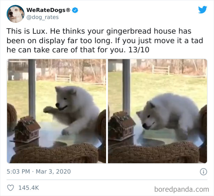 We-Rate-Dogs-Twitter