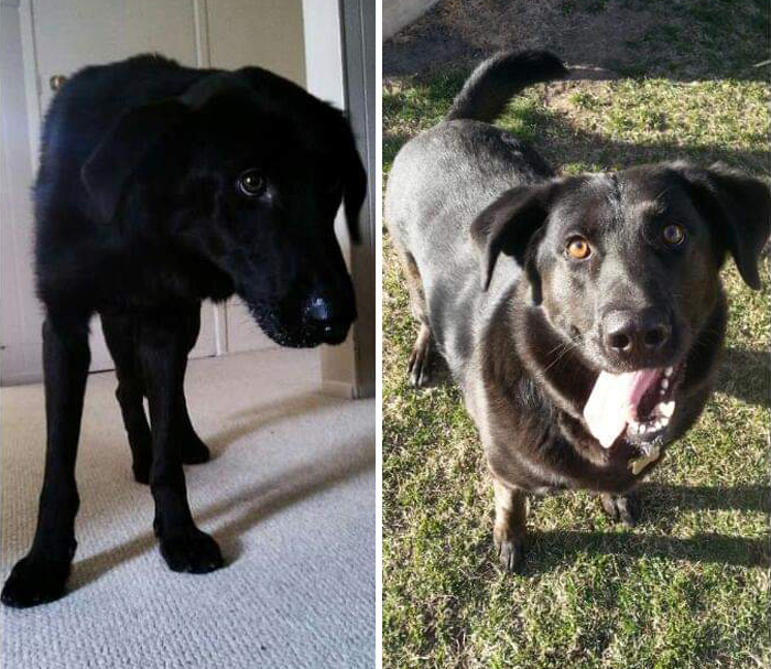 Underweight And Defeated To Rock Solid Happiness!