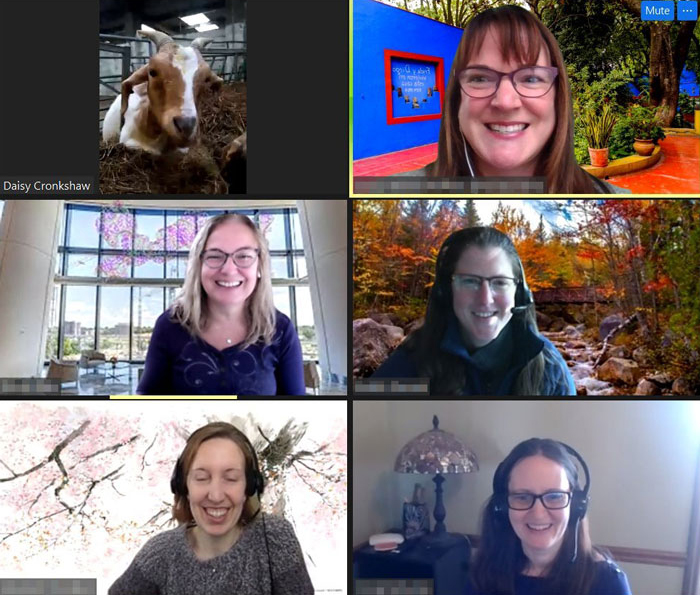 Farm Rents Their Goats For Zoom Conference Calls For $7/5 mins, Raises $68k