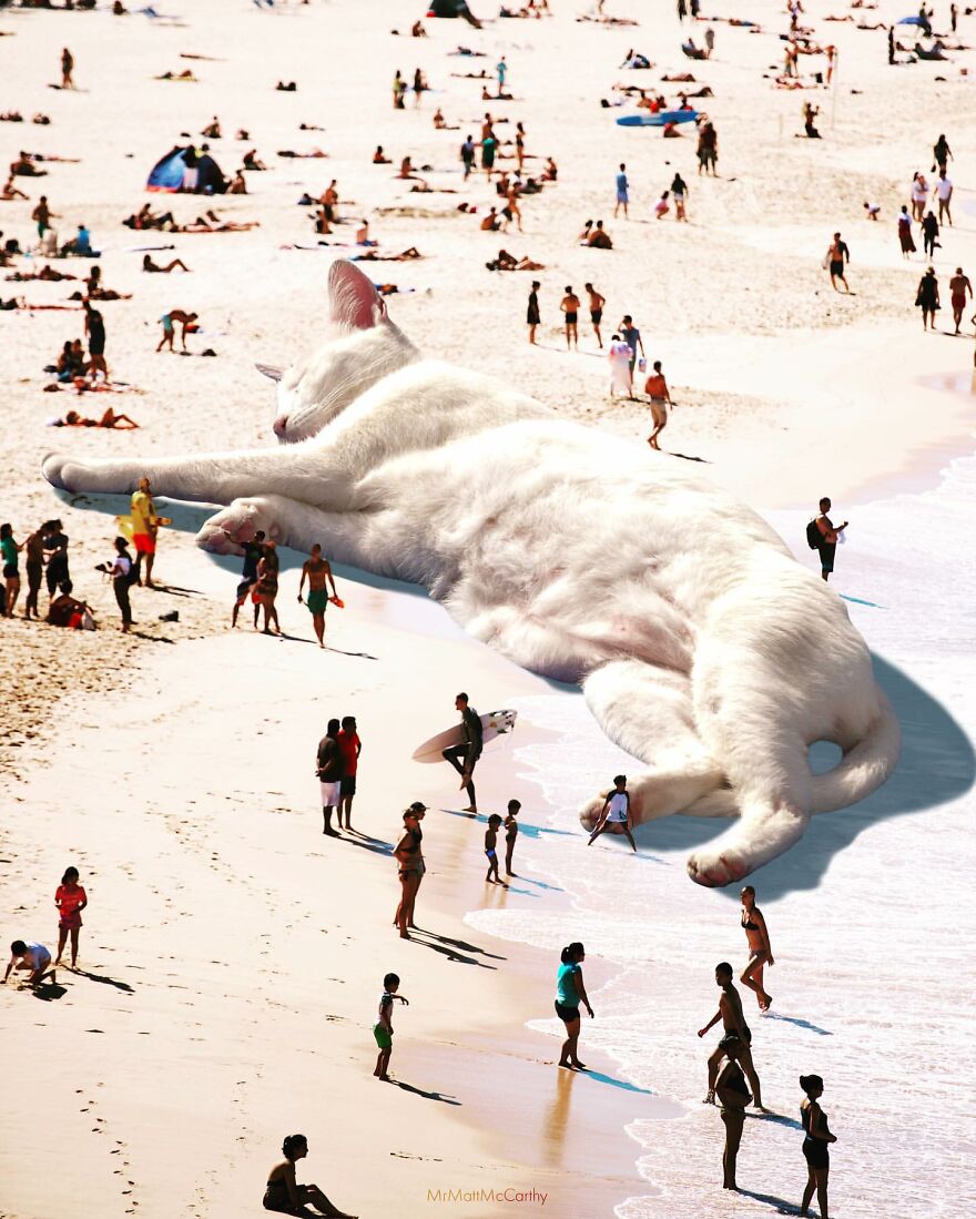 Artist Imagines The World With Giant Cats, And The Result Is Purrrfect