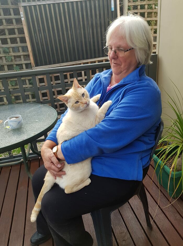 I Think This Delicious Boy Lives In My Street But He Only Visits Every Now And Then