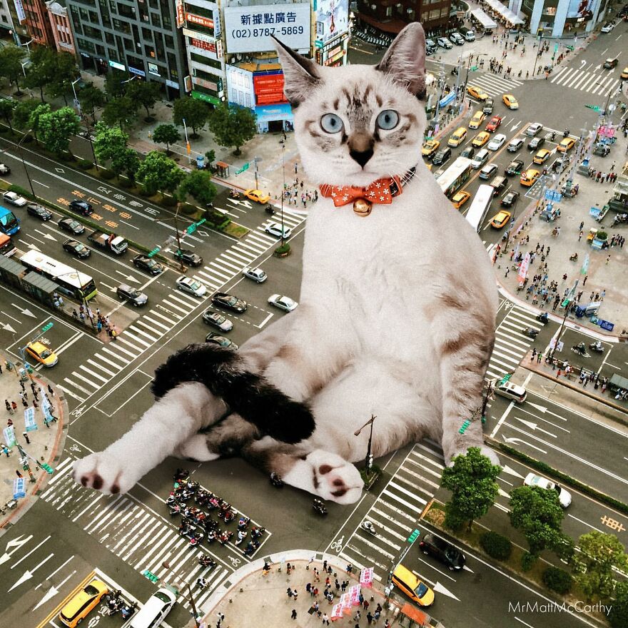 Artist Imagines The World With Giant Cats, And The Result Is Purrrfect