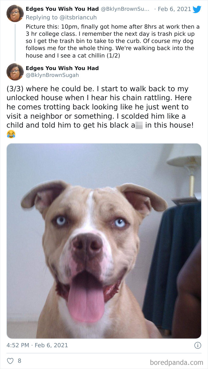 Chase-Dog-Down-The-Street-Game-Stories