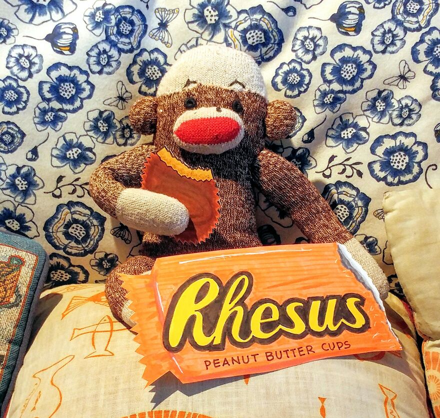 Covid-19-Entertainment-Husband-Sock-Monkey-Socky