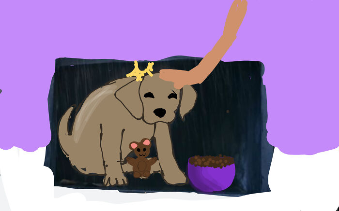 He Just Needed A Little Bit Of Love, Food, And A Teddy