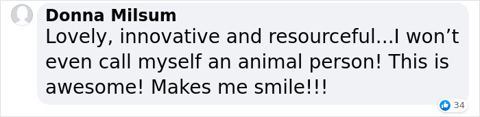 Farm Rents Their Goats For Zoom Conference Calls For $7/5 mins, Raises $68k