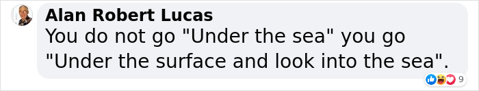 Whale-Shaped Marine Observatory Will Let Visitors Take A Look Under the Sea