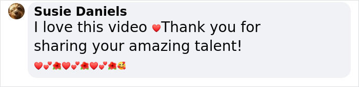 Man Finds An Abandoned Parrot Egg And Hatches It Into An Adorable Budgie