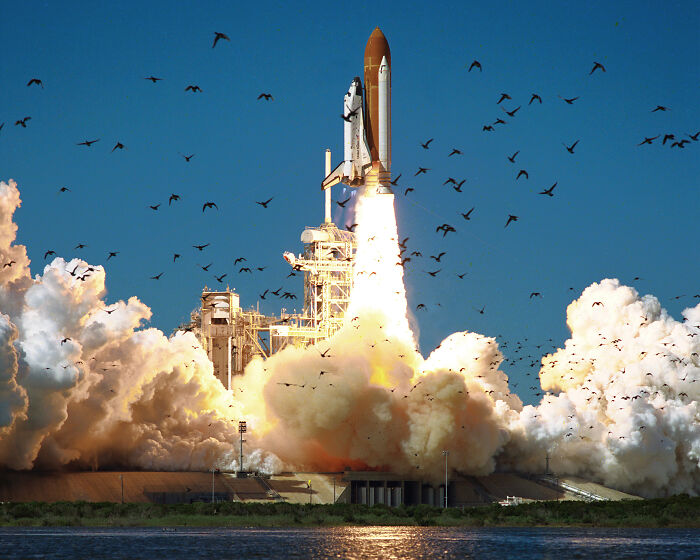 Space shuttle launch with smoke and birds flying, illustrating interesting facts people didn’t learn at school.
