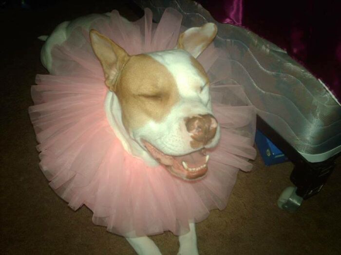 Lead With How Funny You Are