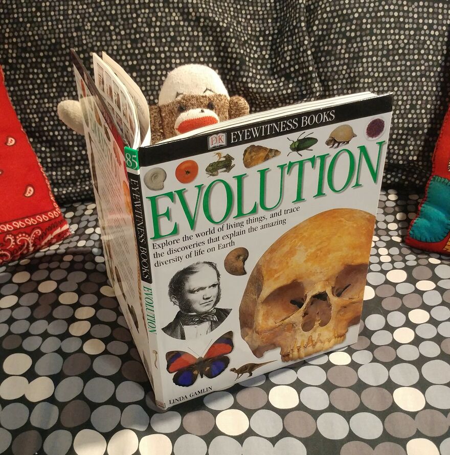 Covid-19-Entertainment-Husband-Sock-Monkey-Socky