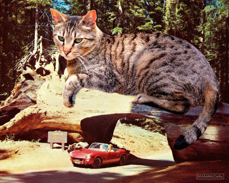 Artist Imagines The World With Giant Cats, And The Result Is Purrrfect