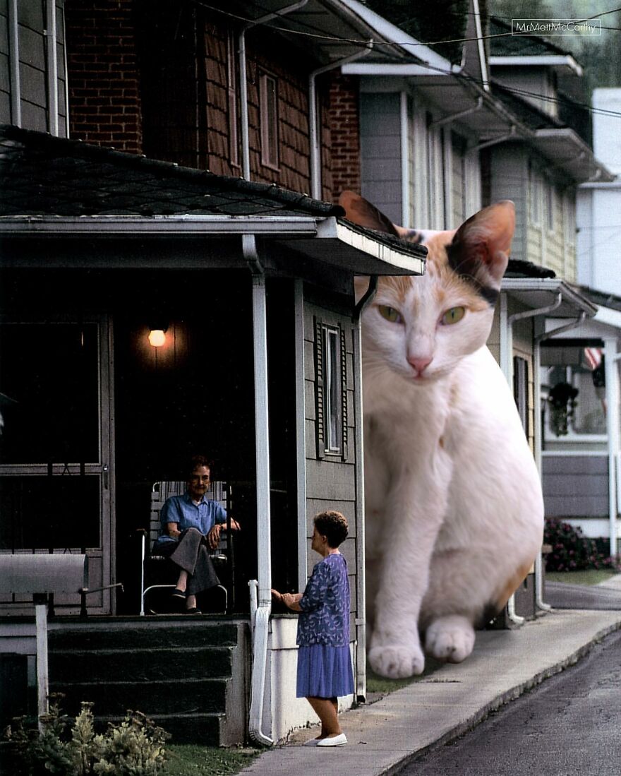 Artist Imagines The World With Giant Cats, And The Result Is Purrrfect