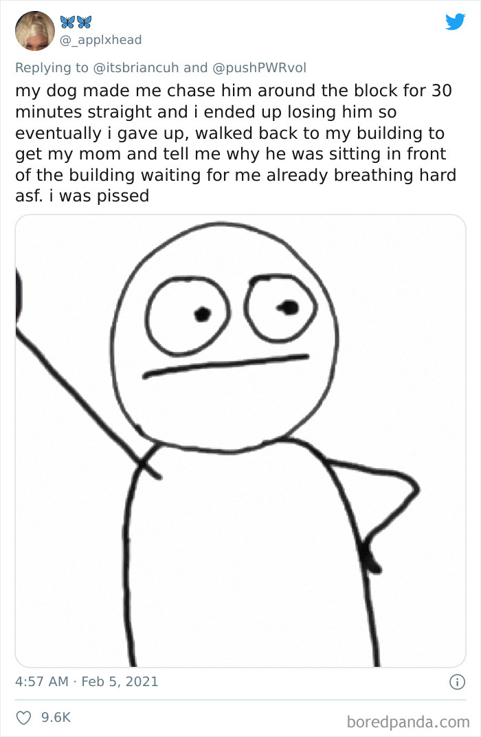 Chase-Dog-Down-The-Street-Game-Stories