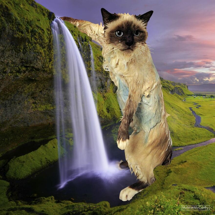 Artist Imagines The World With Giant Cats, And The Result Is Purrrfect