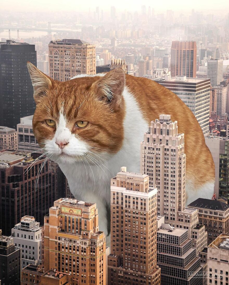 Artist Imagines The World With Giant Cats, And The Result Is Purrrfect