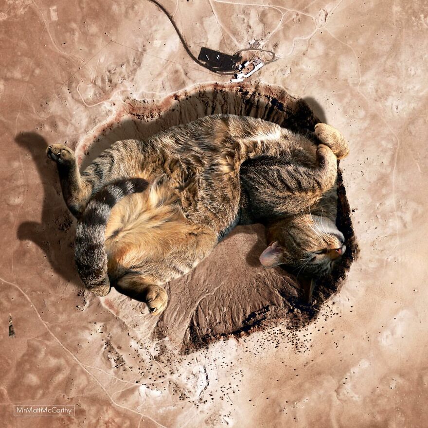 Artist Imagines The World With Giant Cats, And The Result Is Purrrfect