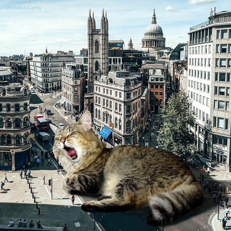 Artist Imagines The World With Giant Cats, And The Result Is Purrrfect