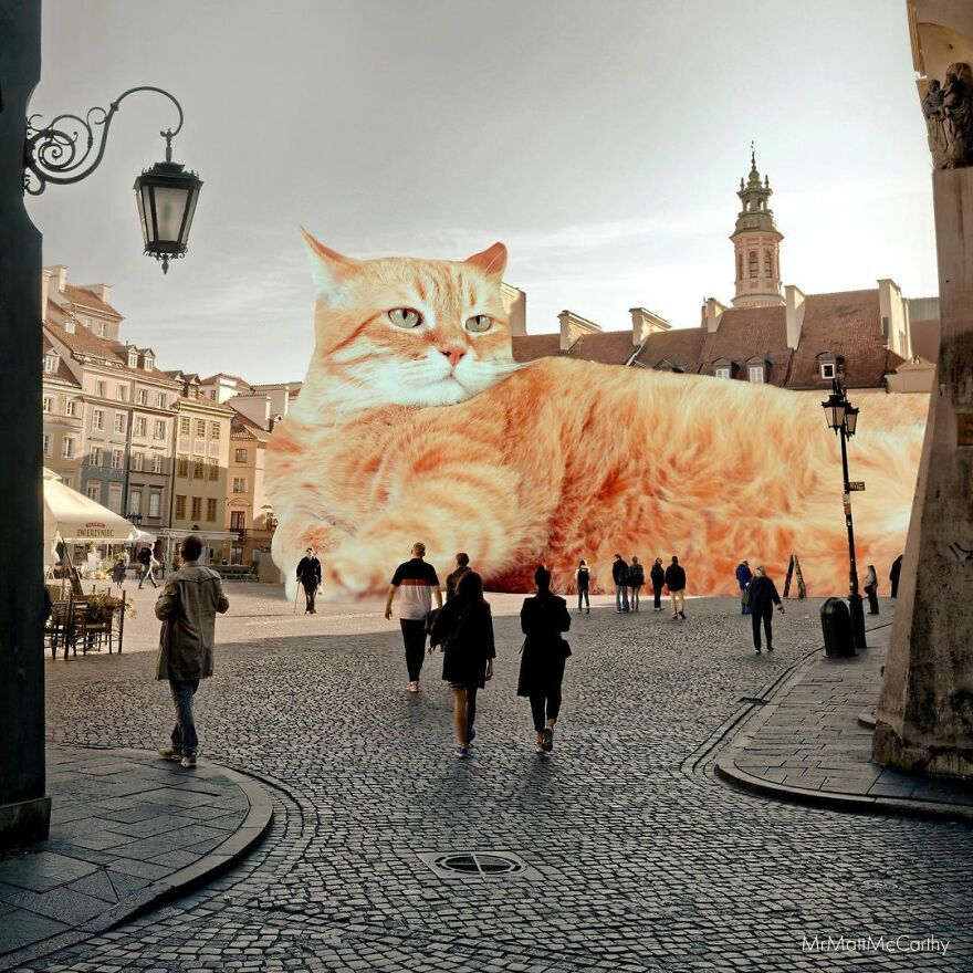 Artist Imagines The World With Giant Cats, And The Result Is Purrrfect