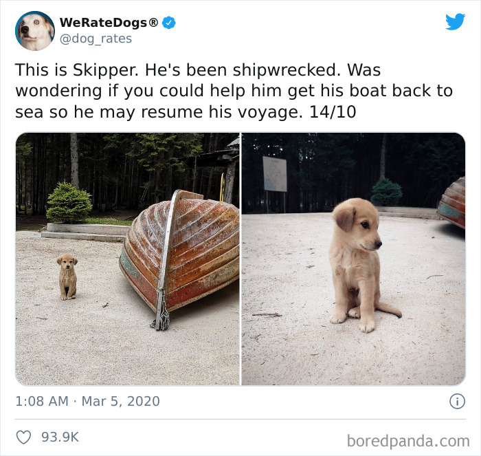 We-Rate-Dogs-Twitter