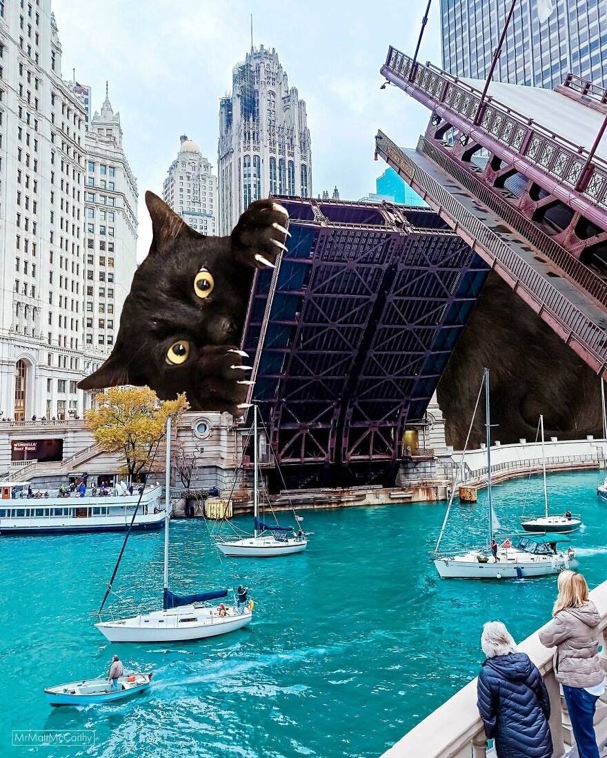 Artist Imagines The World With Giant Cats, And The Result Is Purrrfect