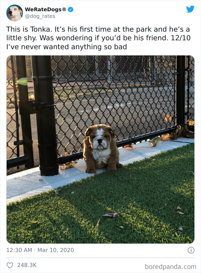 We-Rate-Dogs-Twitter