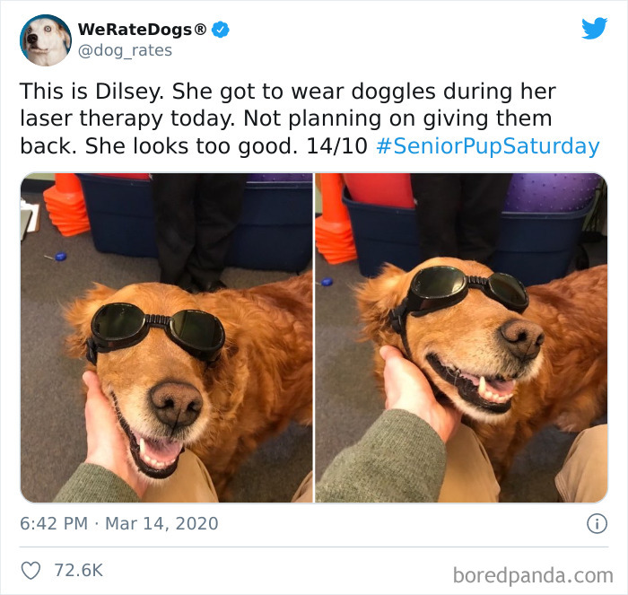We-Rate-Dogs-Twitter