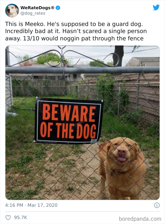 We-Rate-Dogs-Twitter
