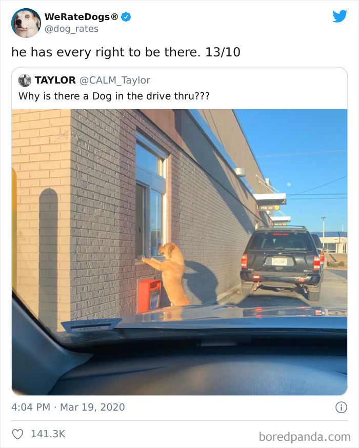 We-Rate-Dogs-Twitter