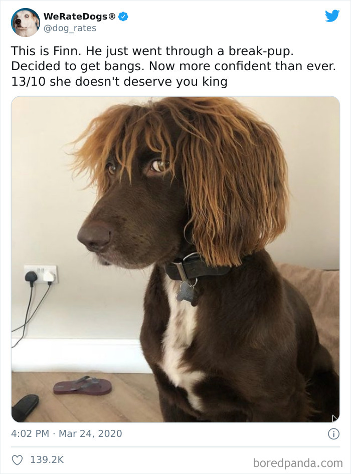 We-Rate-Dogs-Twitter