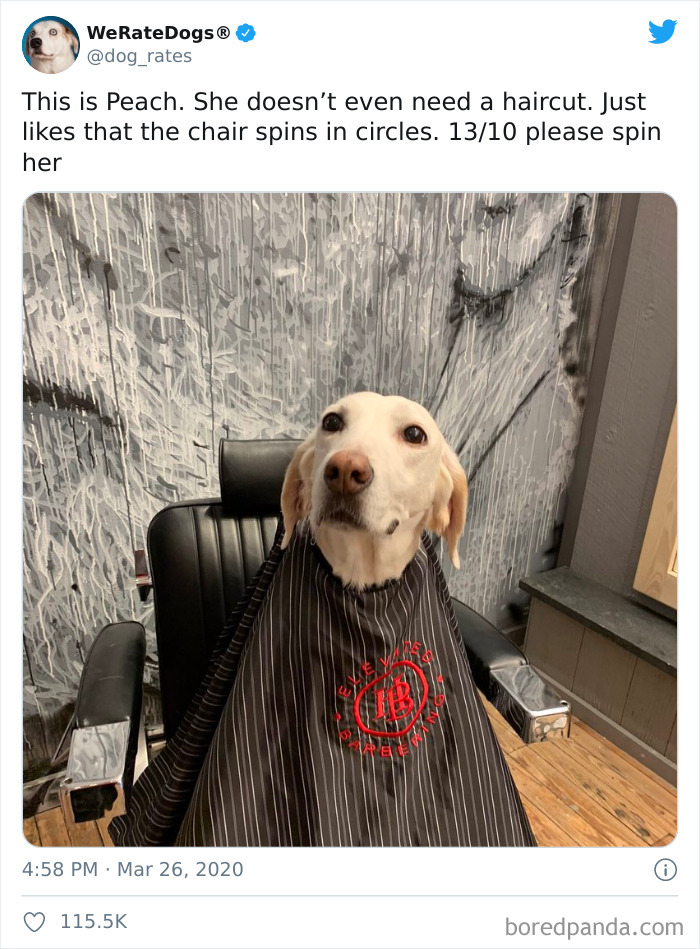 We-Rate-Dogs-Twitter