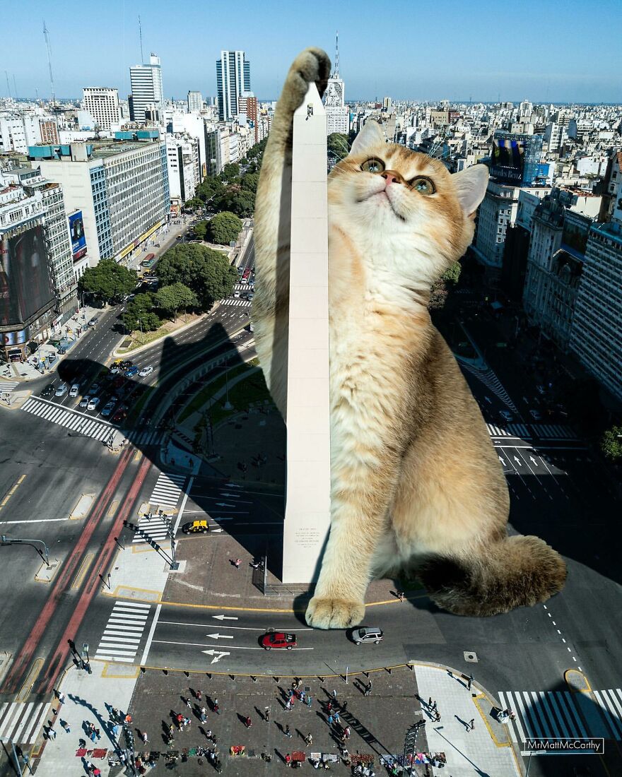 Artist Imagines The World With Giant Cats, And The Result Is Purrrfect