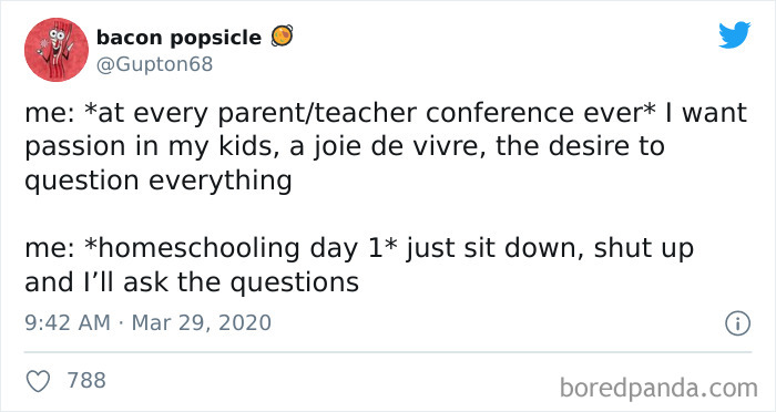 Home-School-Parents-Distance-Zoom-Learning