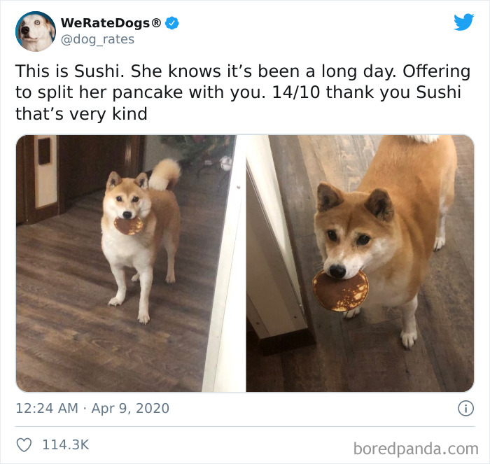 We-Rate-Dogs-Twitter