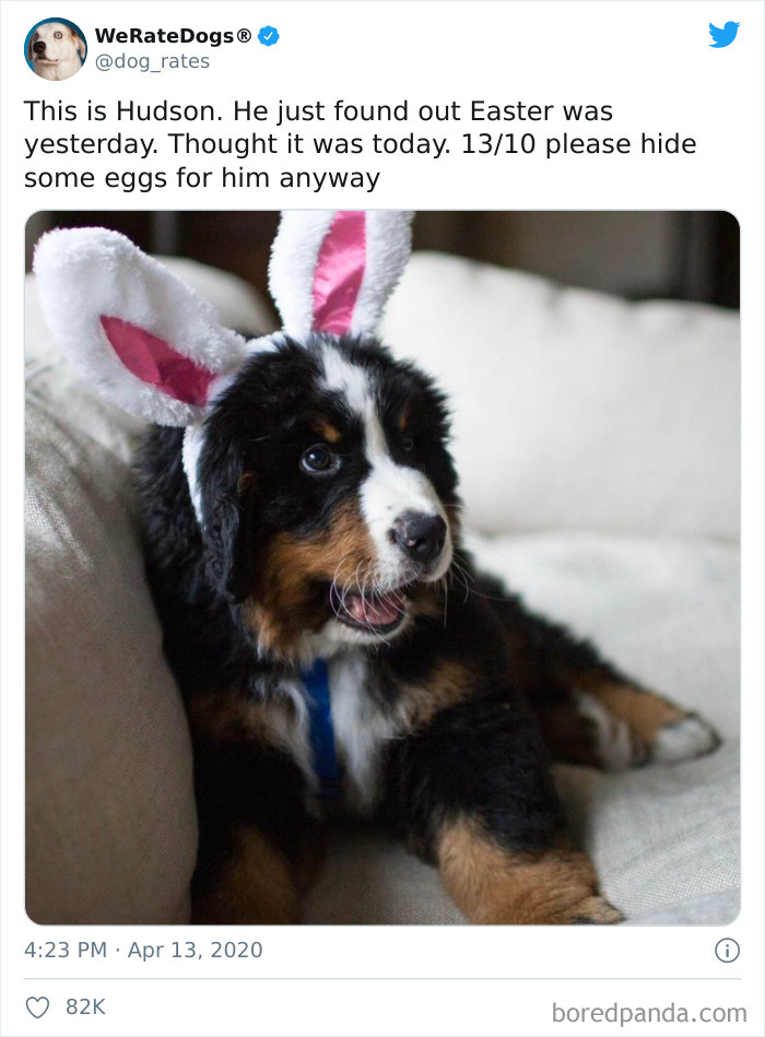 We-Rate-Dogs-Twitter