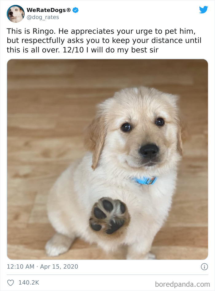 We-Rate-Dogs-Twitter