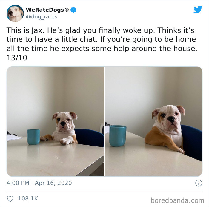 We-Rate-Dogs-Twitter