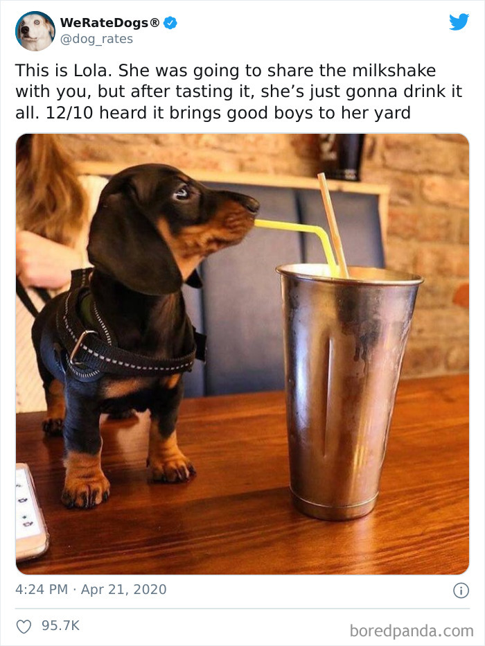 We-Rate-Dogs-Twitter